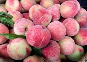 水蜜桃成人无码视频在线,揭秘成人世界的隐秘角落