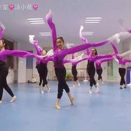 国家舞蹈视频成人,探寻中华舞蹈文化的传承与创新