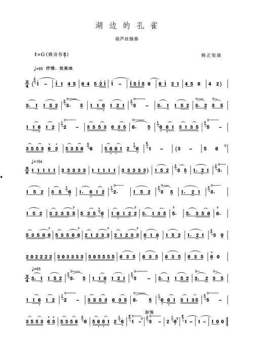 成人乐谱教学视频下载网,解锁音乐学习的无限可能